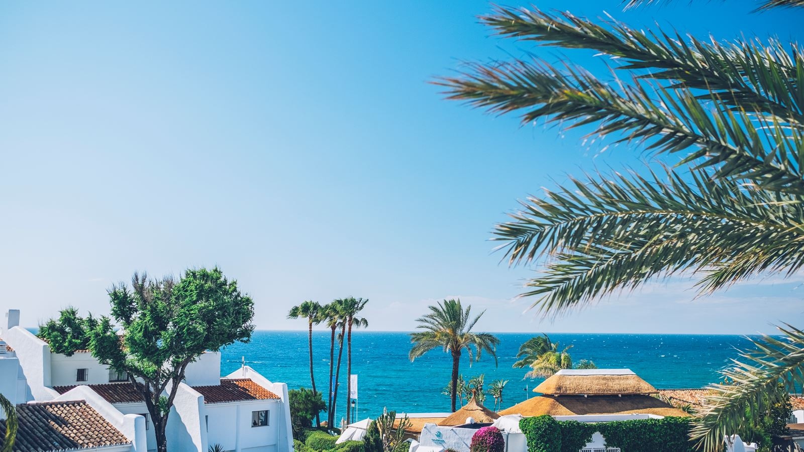 rooms-suite-sea-view