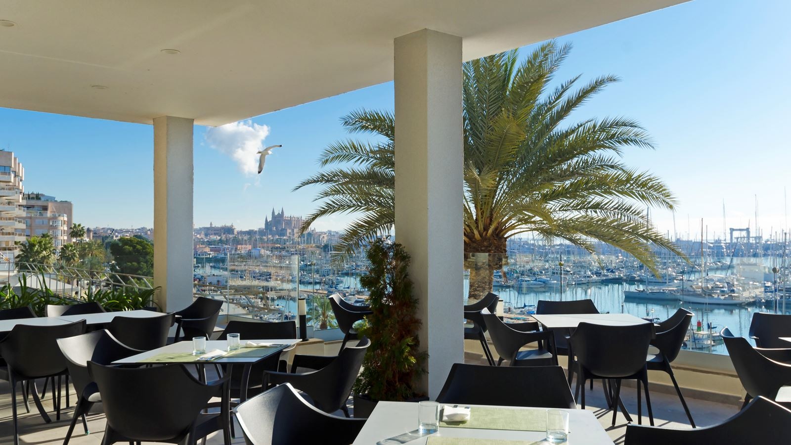 restaurants-restaurants