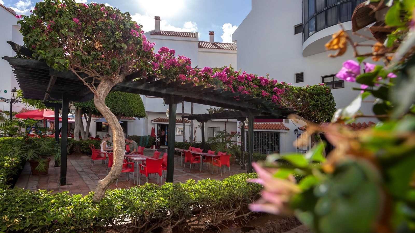 bars-cafeteria-arco-iris