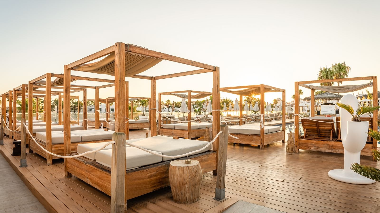 bars-arena-beach-club