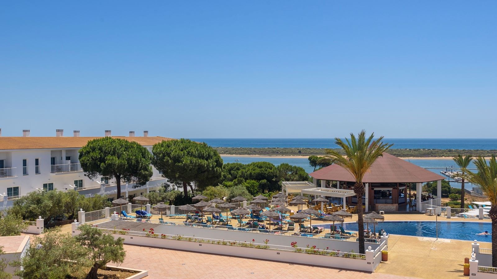 bars-papaya-pool-bar