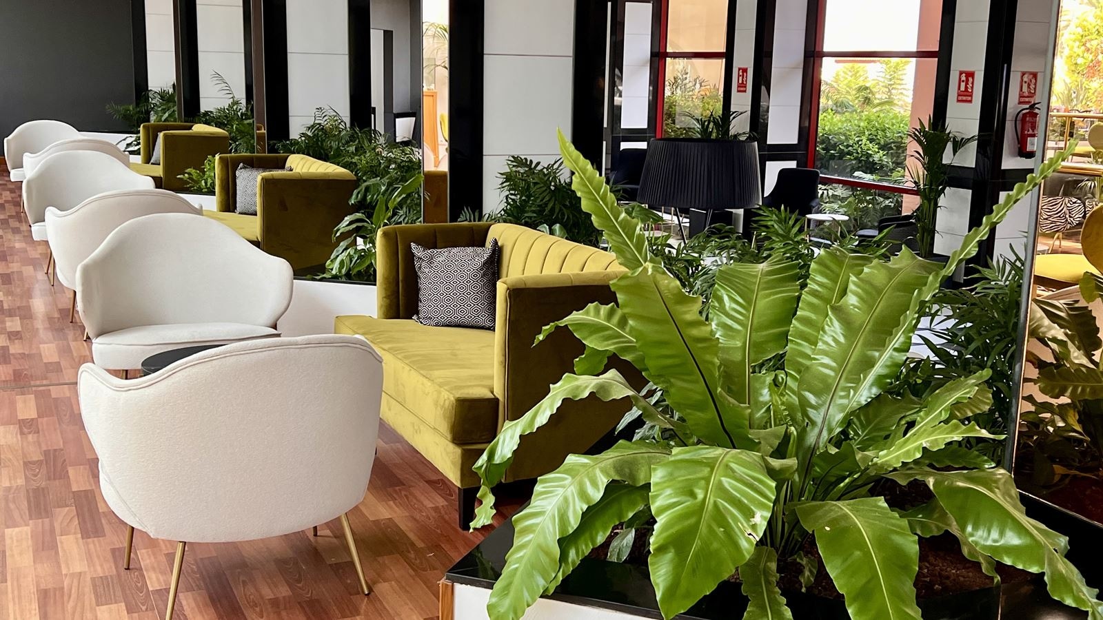 restaurants-bar-puerto-palace