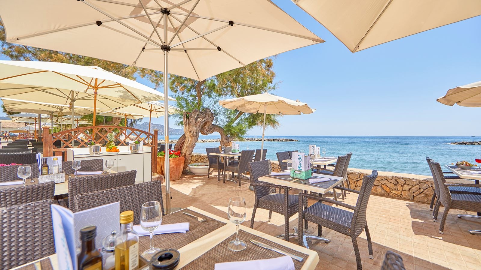 restaurants-restaurant