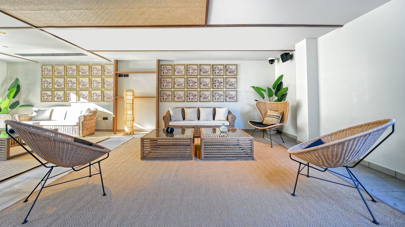 bars-the-sail-bar-adults-only