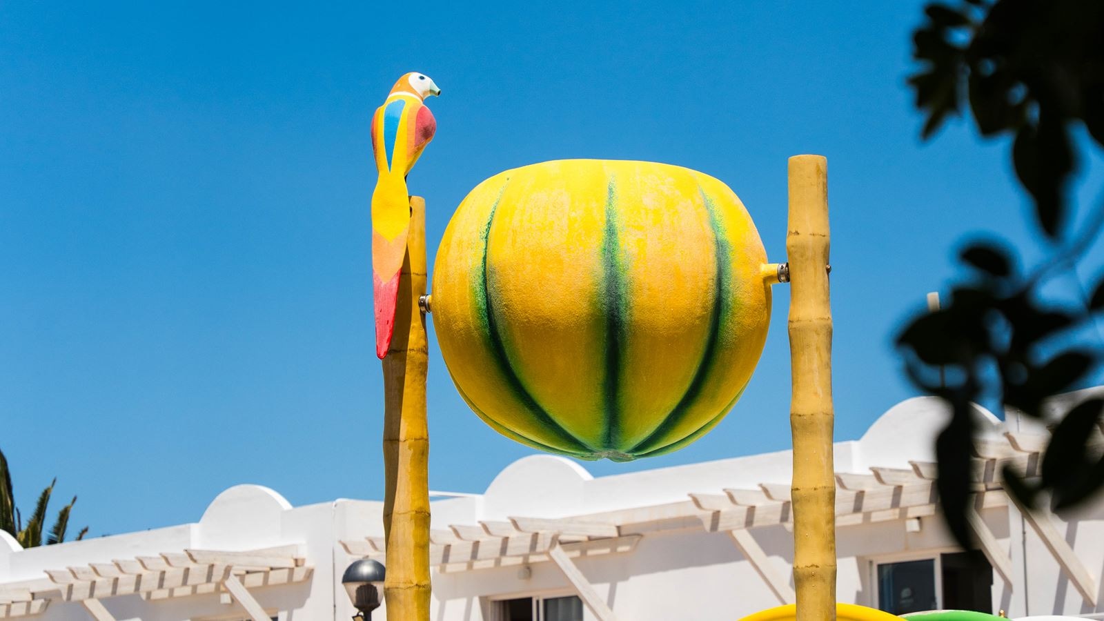 water-park-water-park