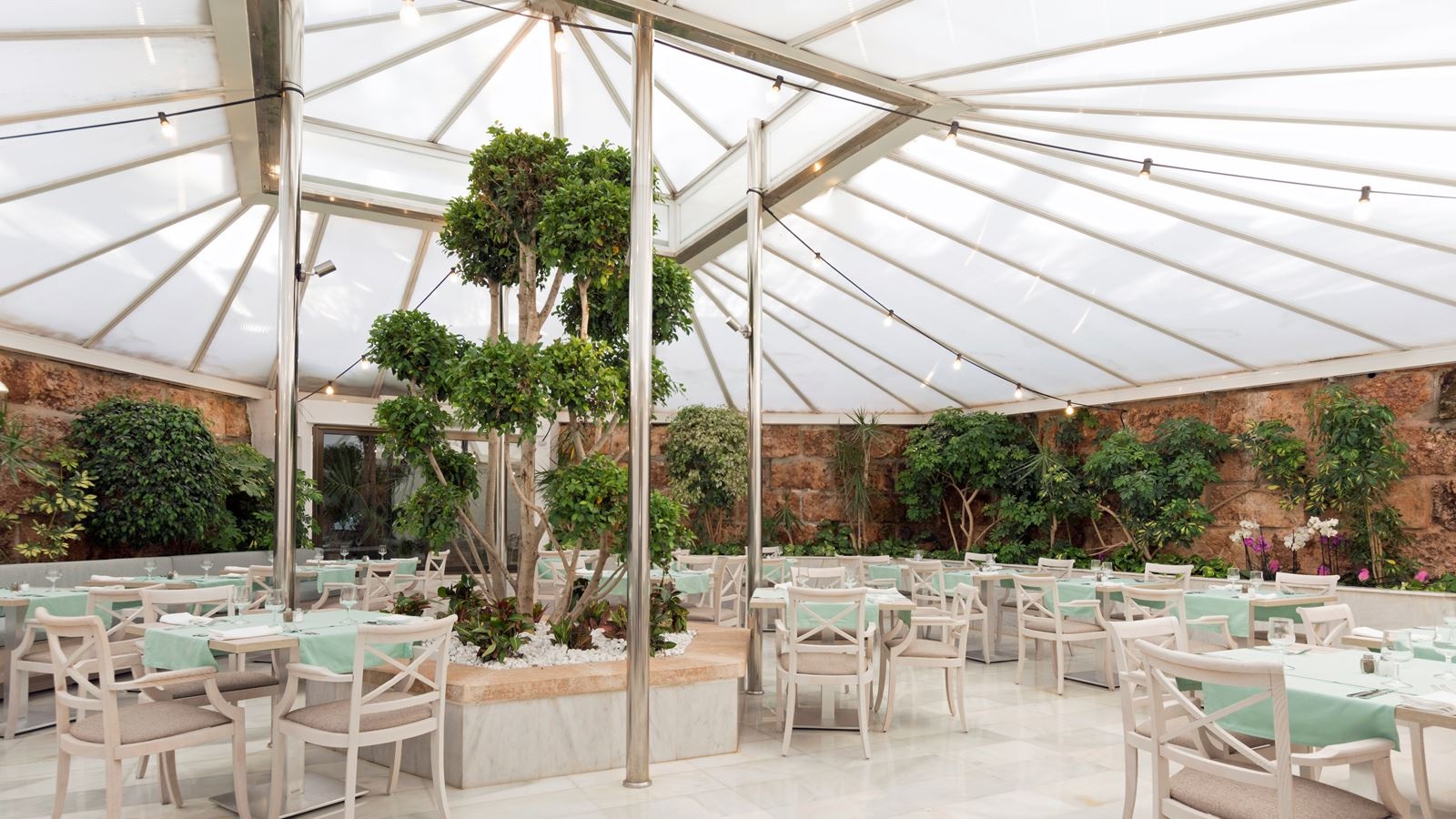 restaurants-main-restaurant