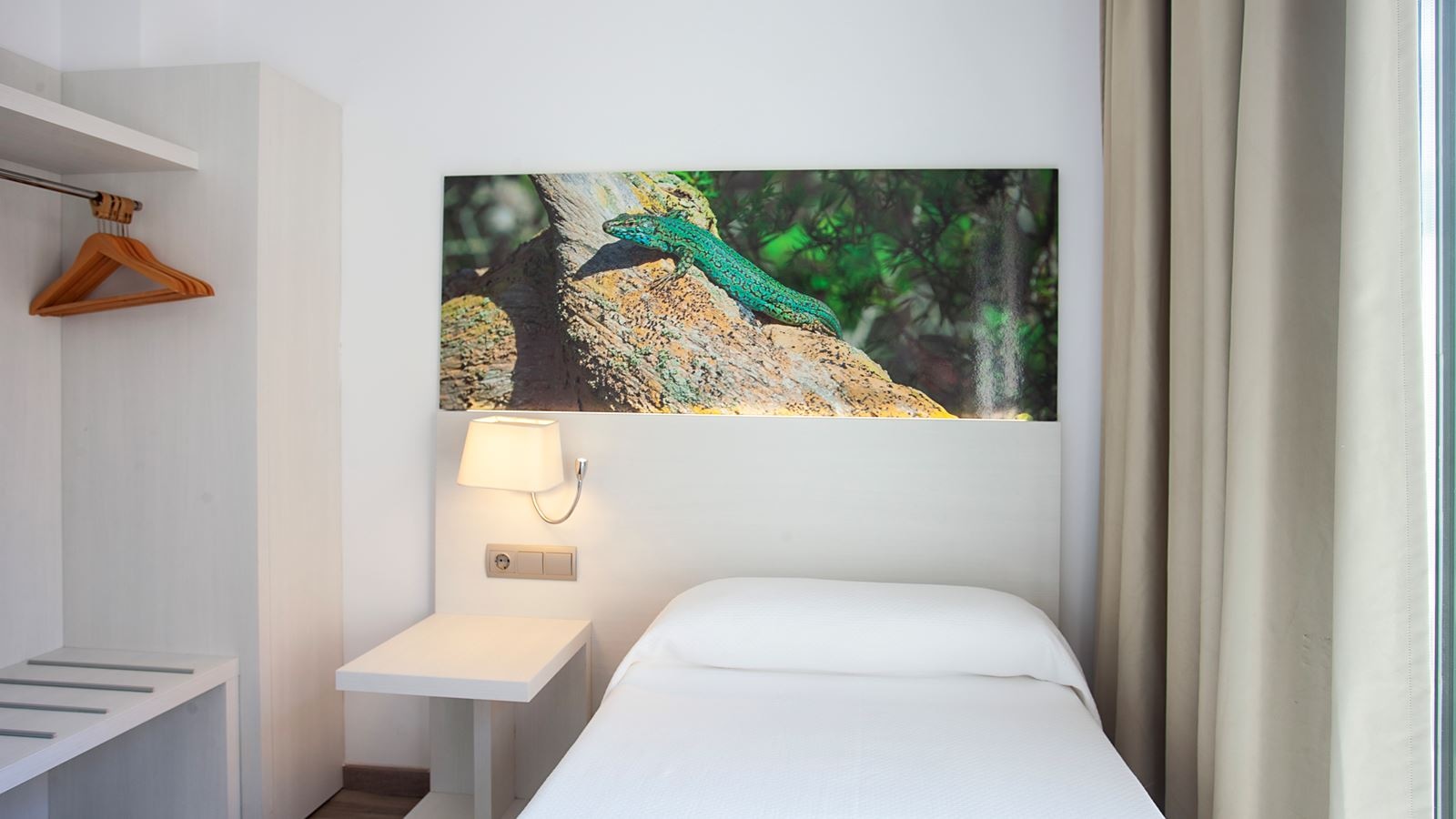 rooms-single-room