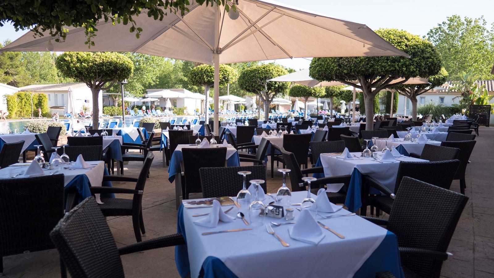 restaurants-restaurant-buffet