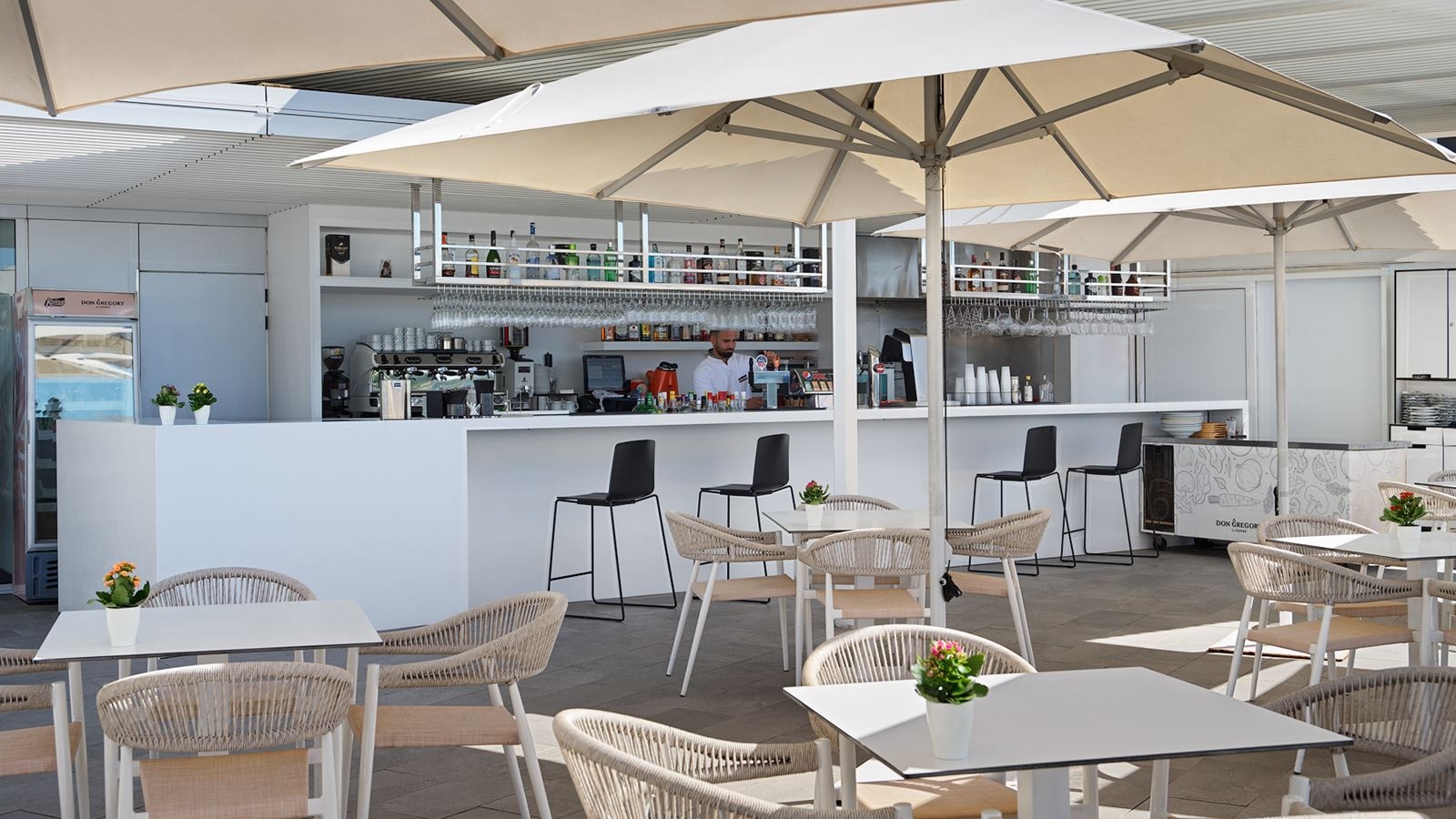 bars-bar-piscina-gregs-bar