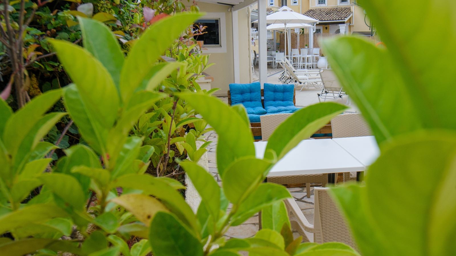 restaurants-main-restaurant