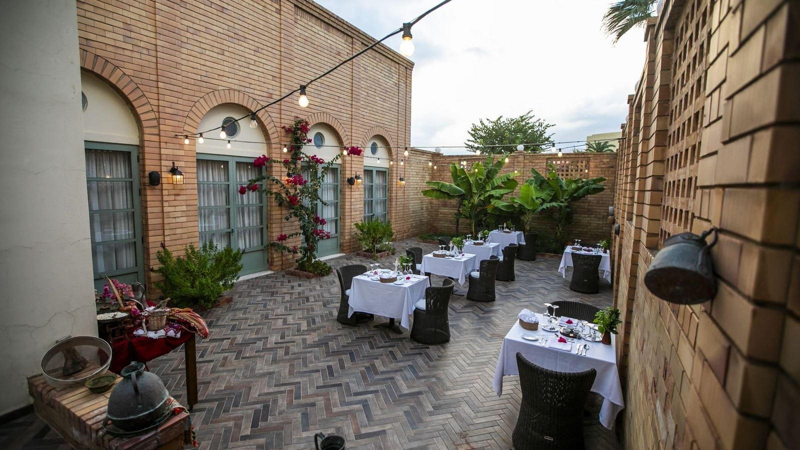 restaurants-olive-tree-and-orion