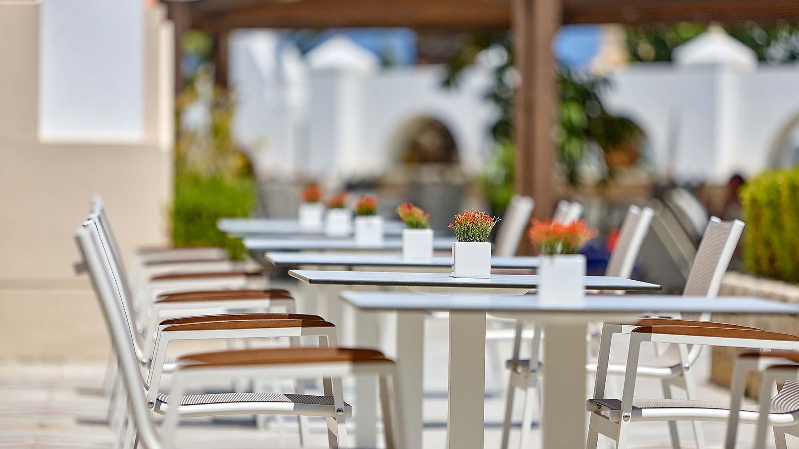 restaurants-snack-bar