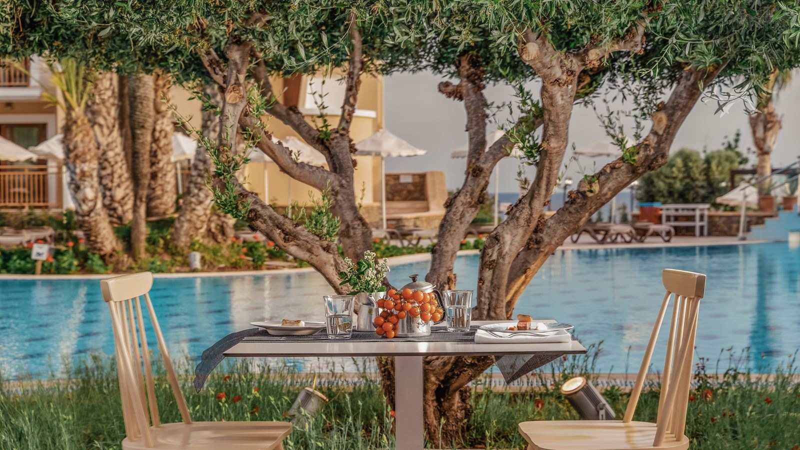 restaurants-meze-meze