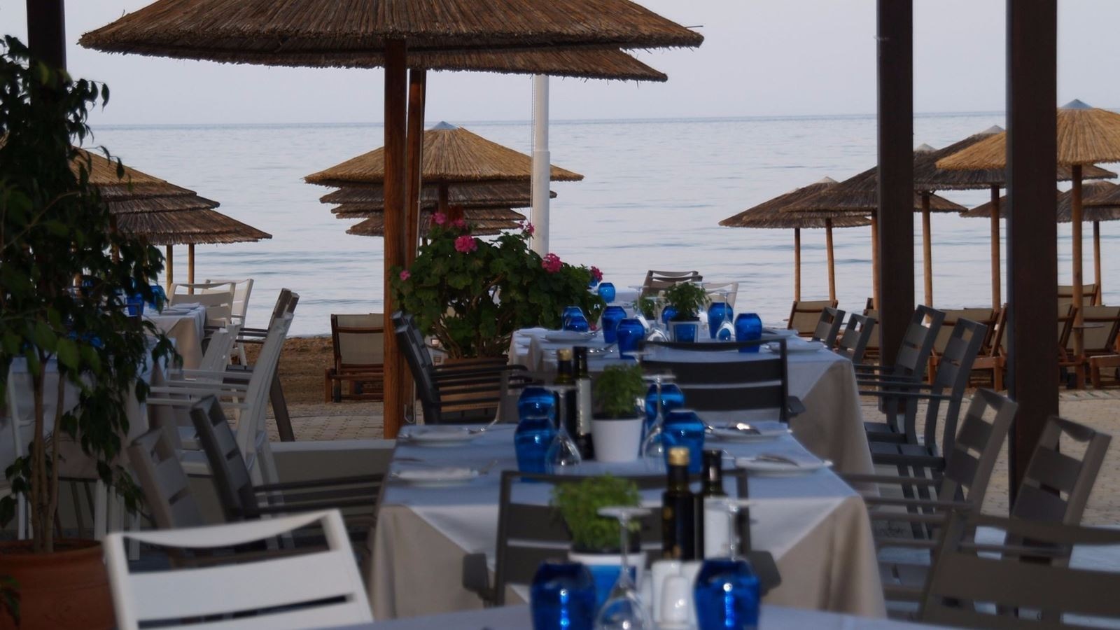 restaurants-wave-beach-restaurant