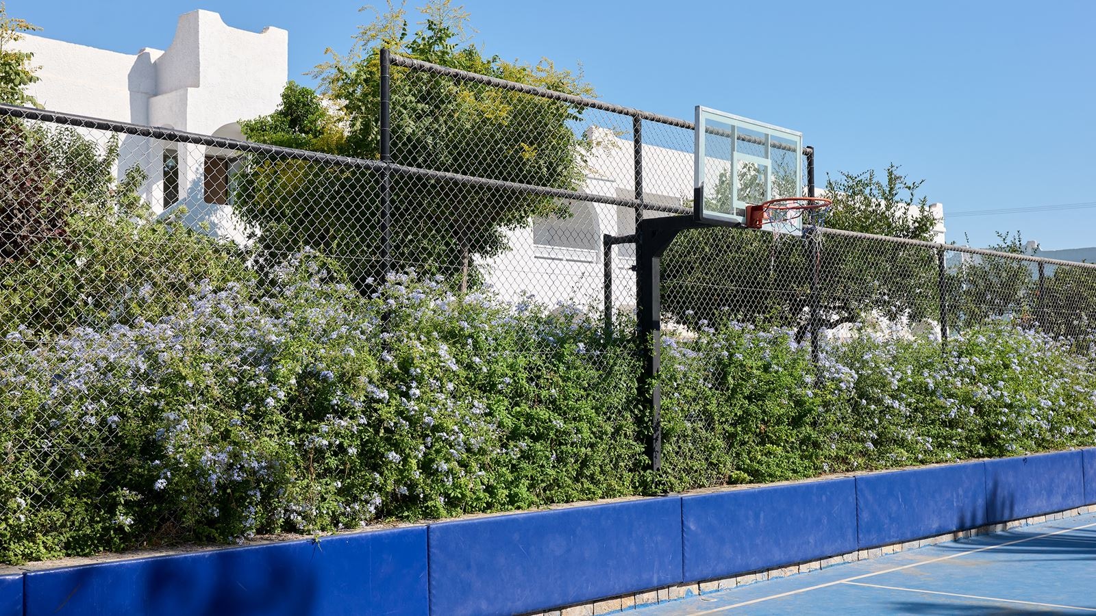 sport-sport