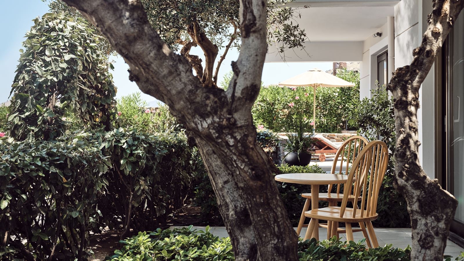 rooms-superior-double-garden-for-single-use