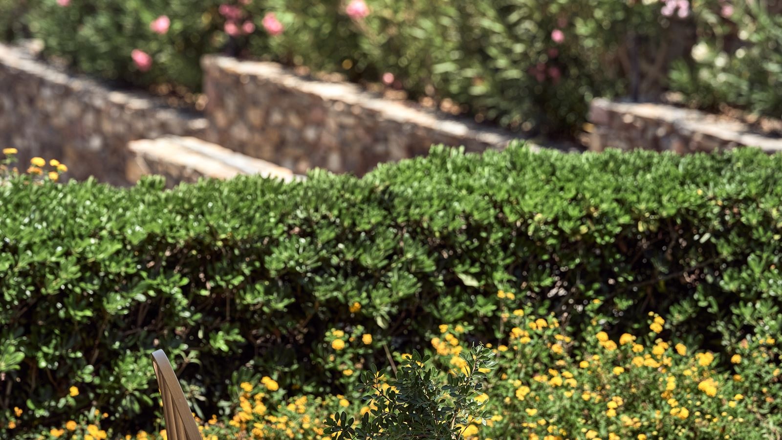 rooms-superior-double-sea-view-for-single-use