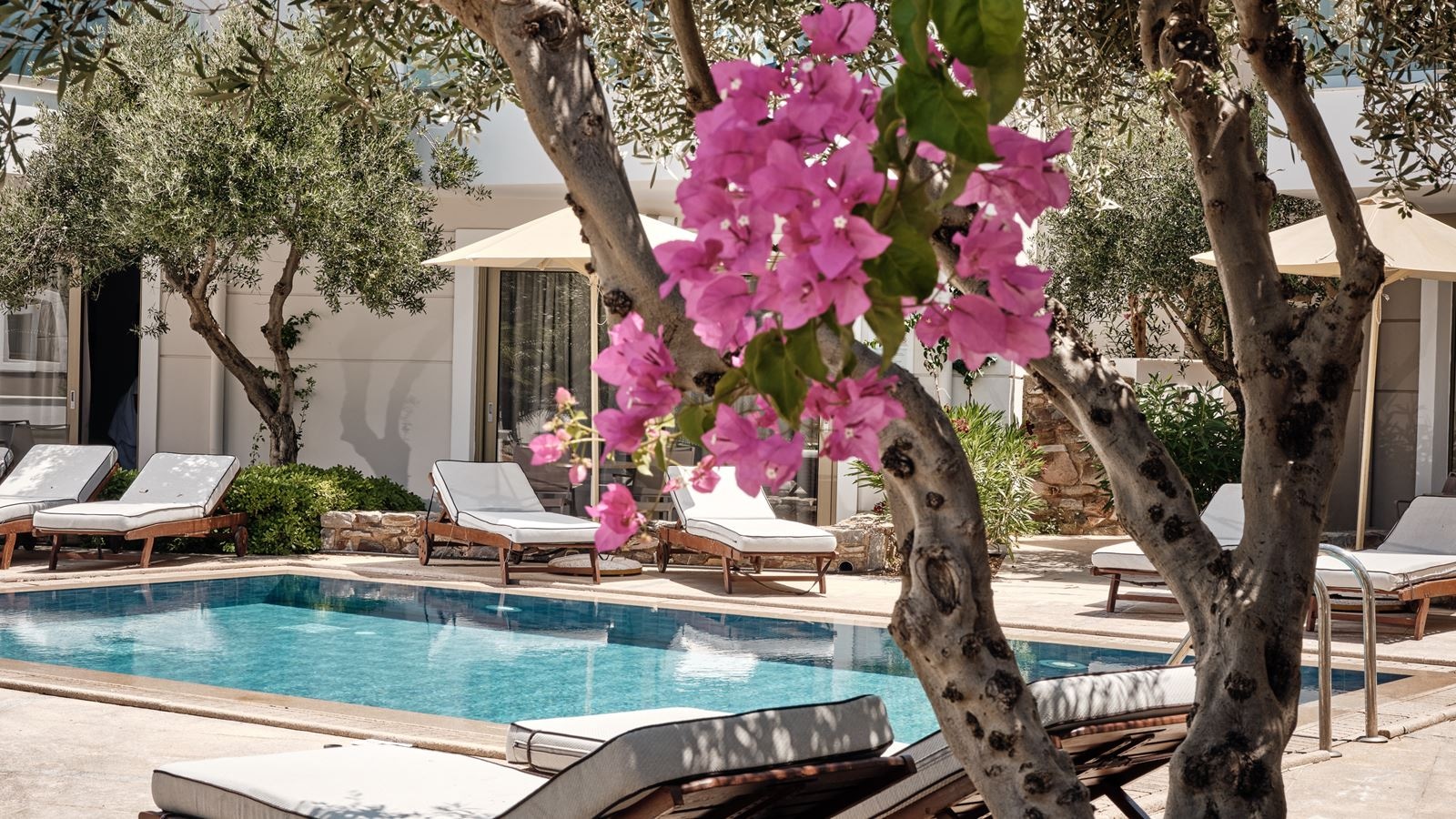 rooms-superior-double-sharing-pool-garden-view-single-use