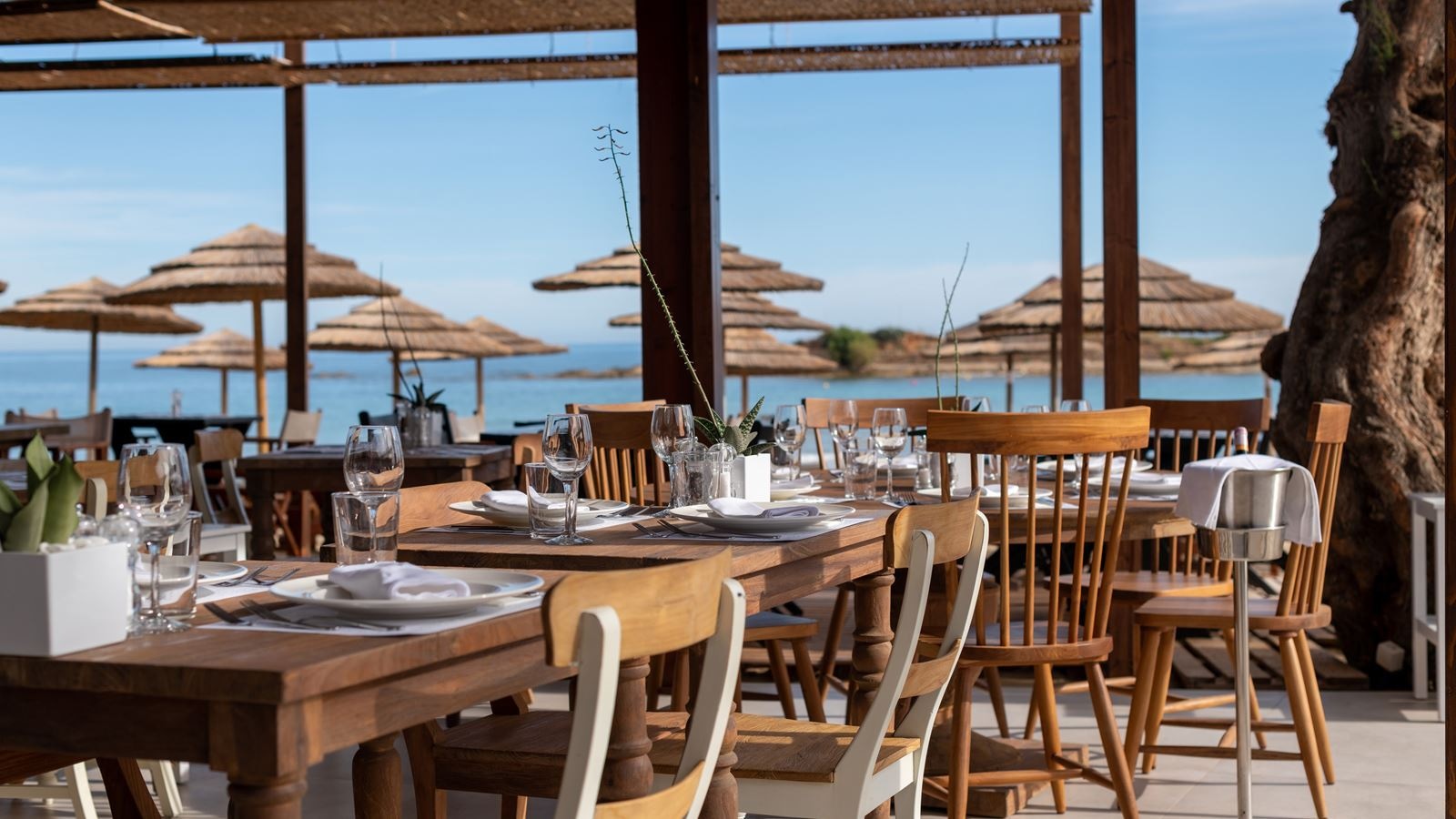 restaurants-elia-à-la-carte-restaurant