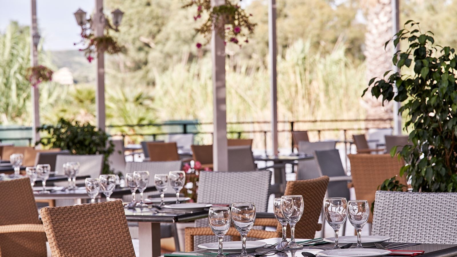 restaurants-il-gustoitalian-specialty-restaurant