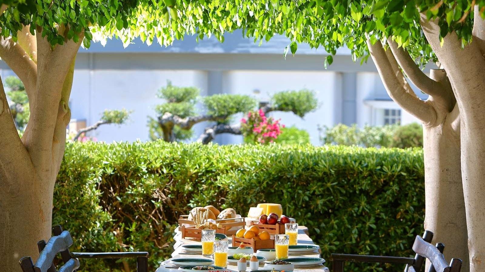 restaurants-main-resaurant