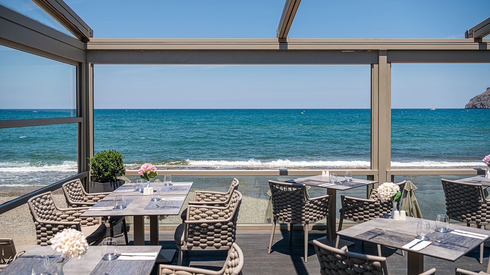 restaurants-main-restaurant