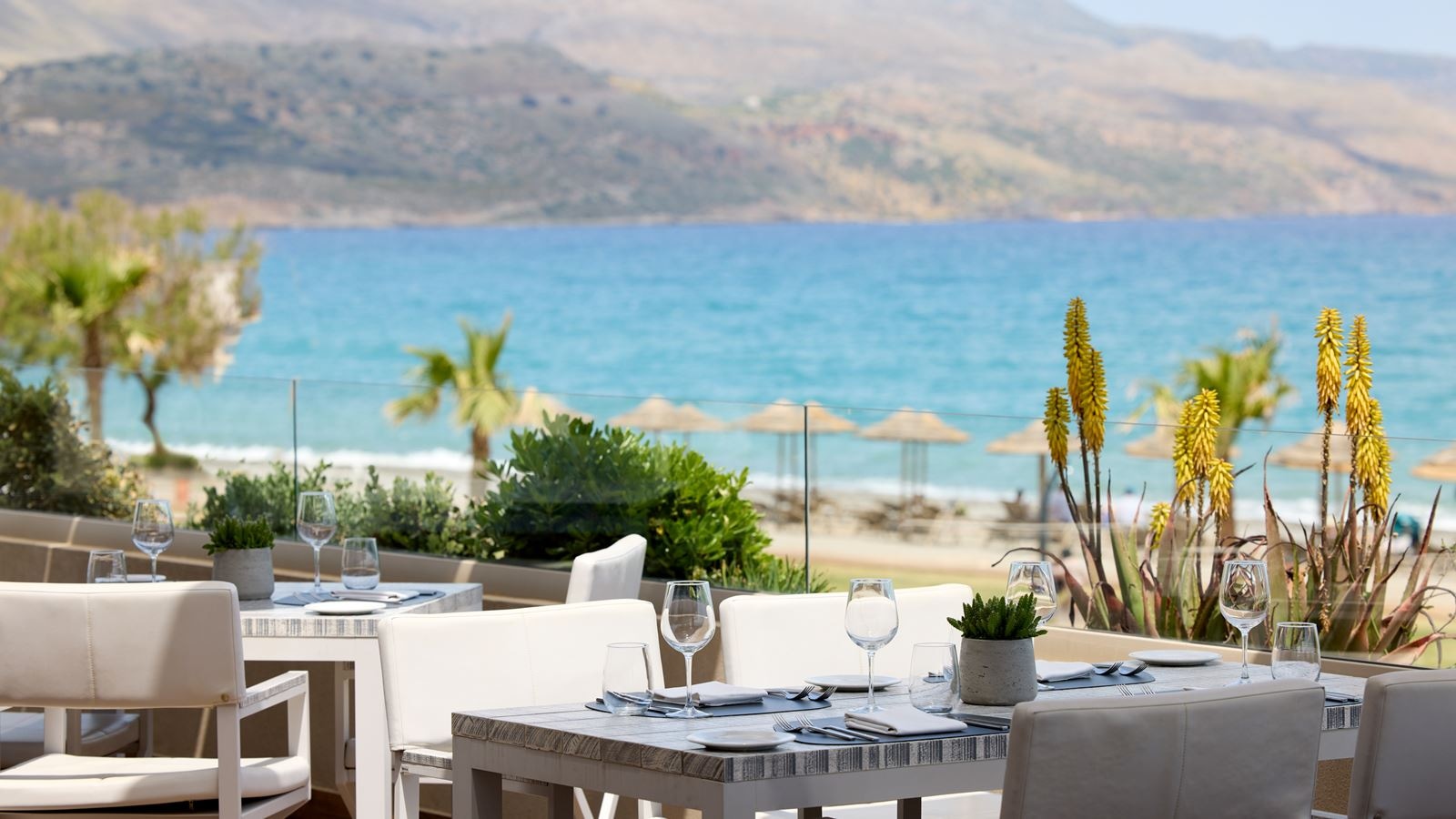 restaurants-chefs-grill