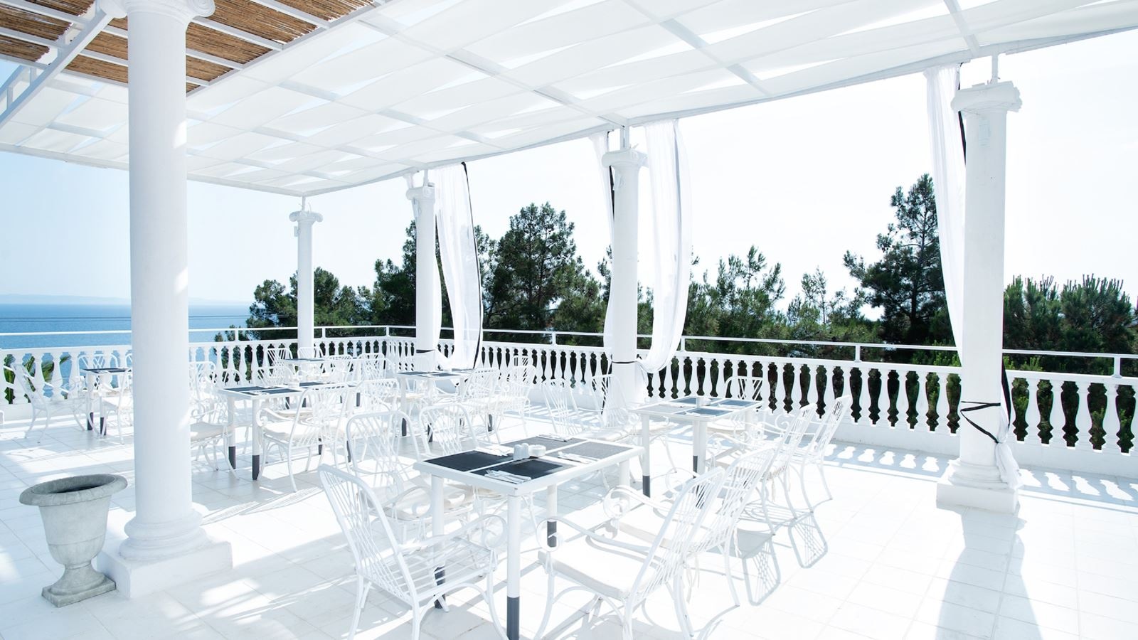 restaurants-bellevue