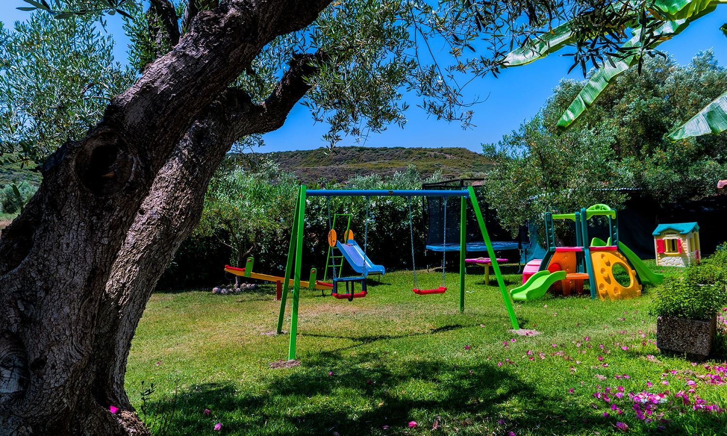 mini-club-main-building