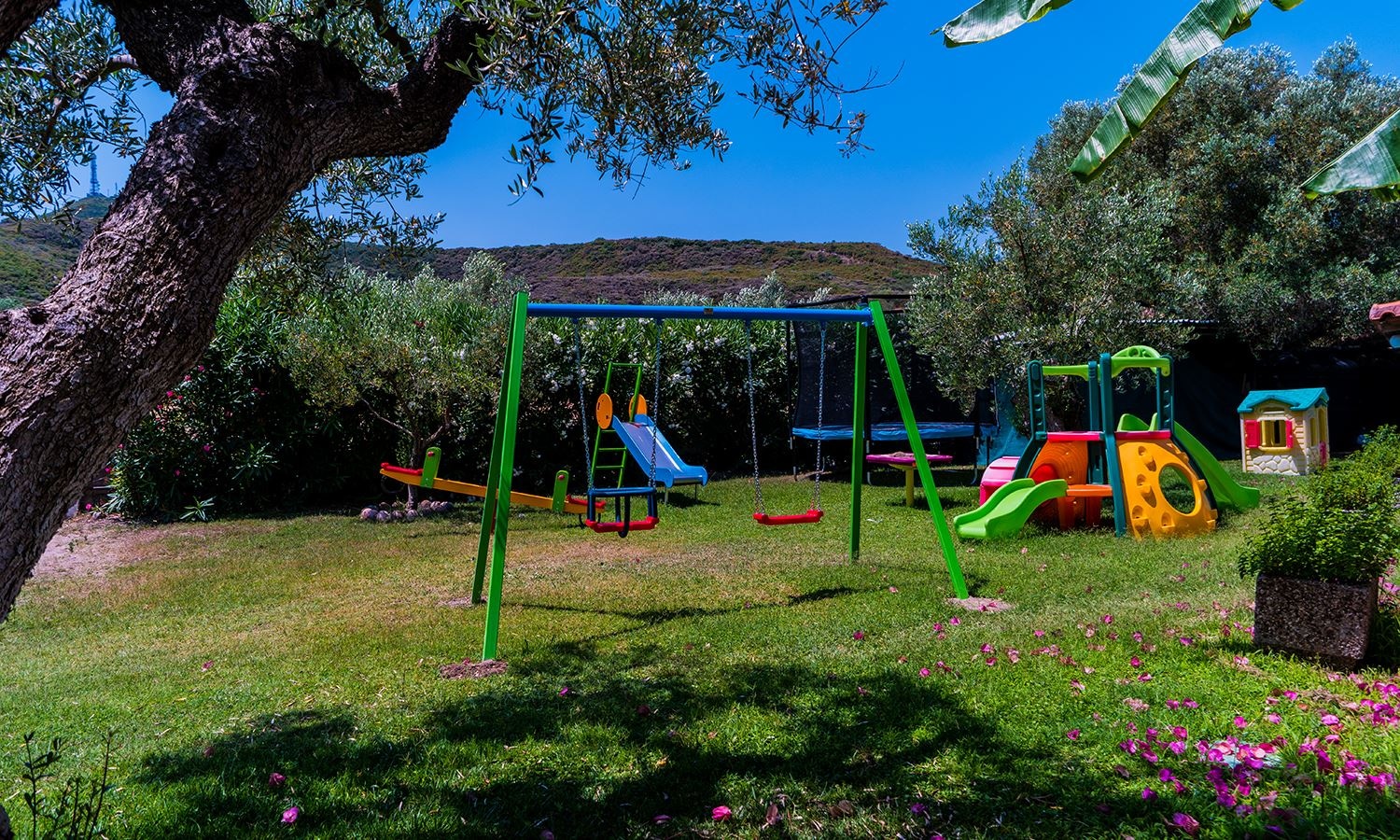 mini-club-main-building