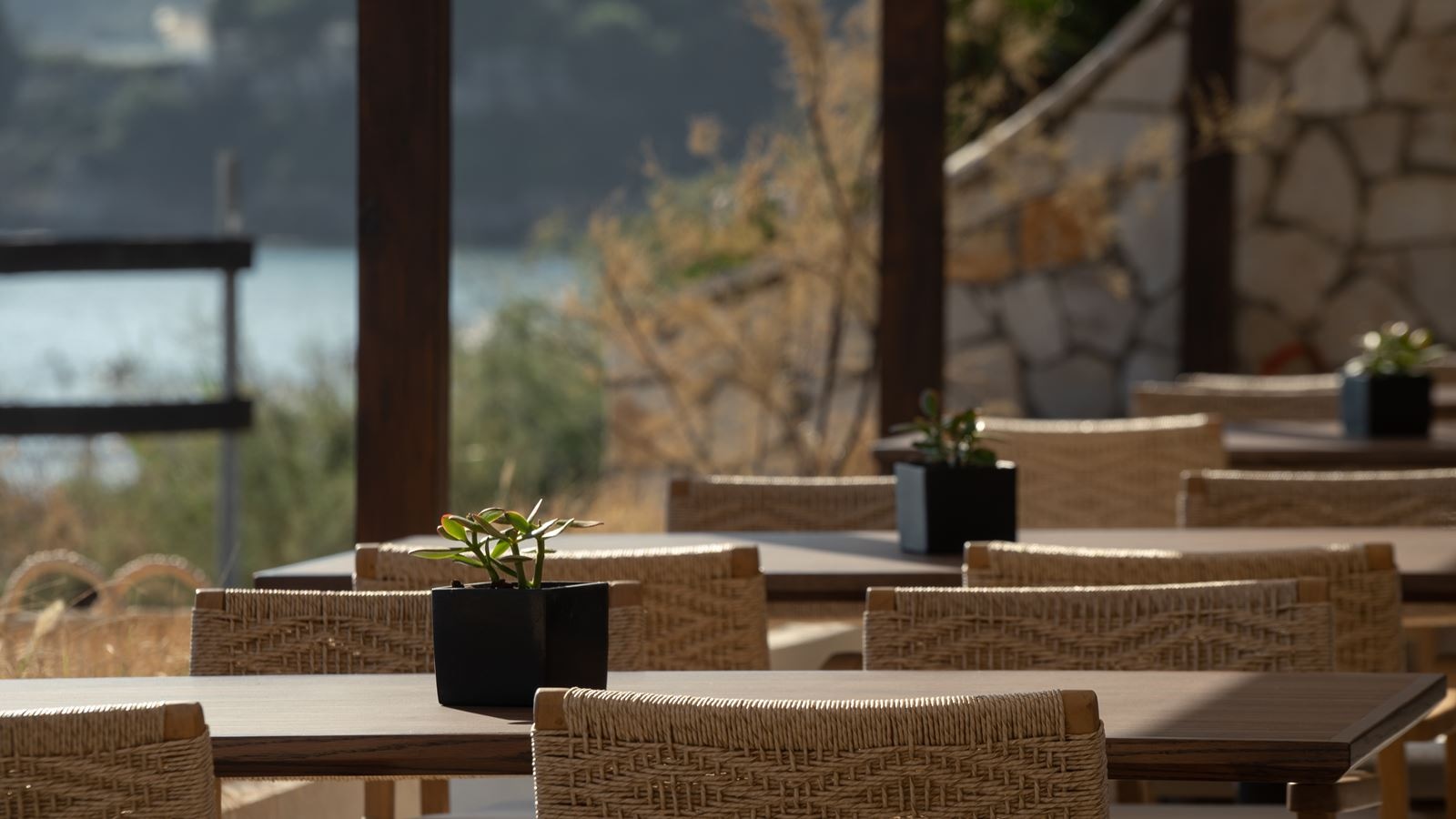 restaurants-meze-restaurant