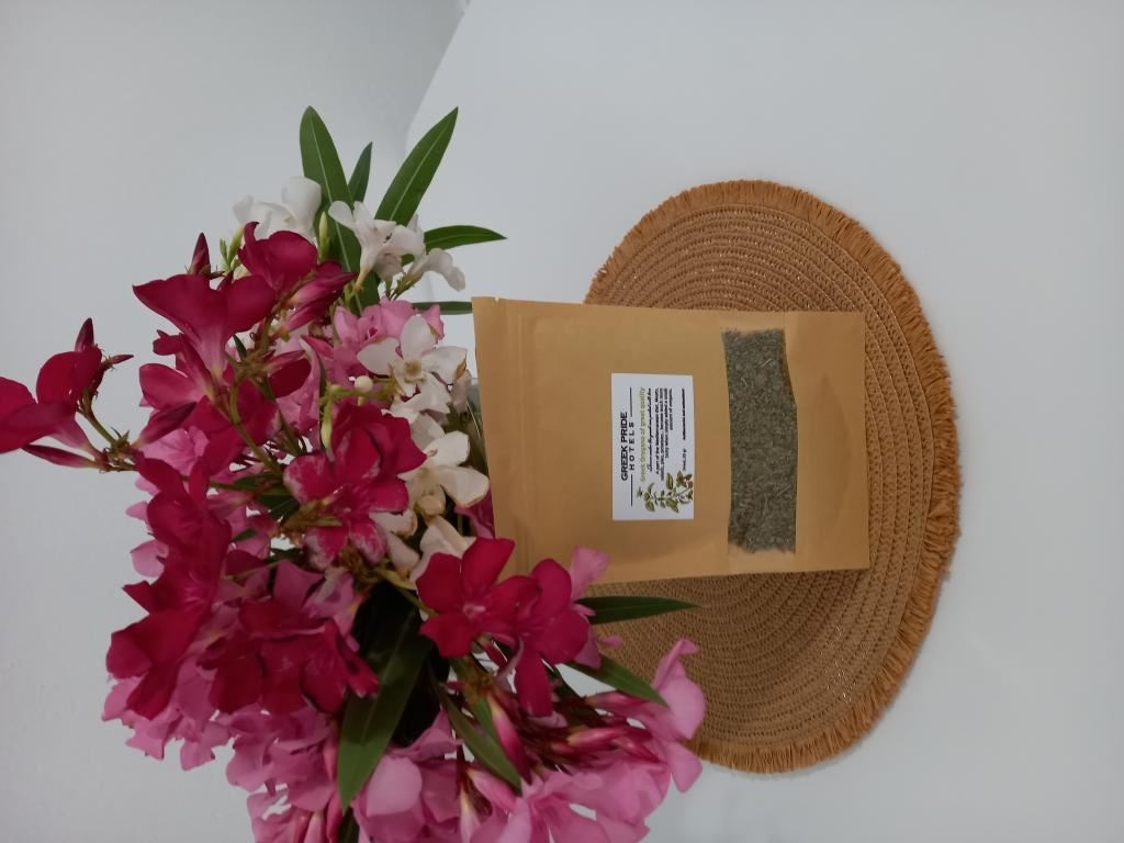 rooms-family-apartment-2-bedrooms-garden-view