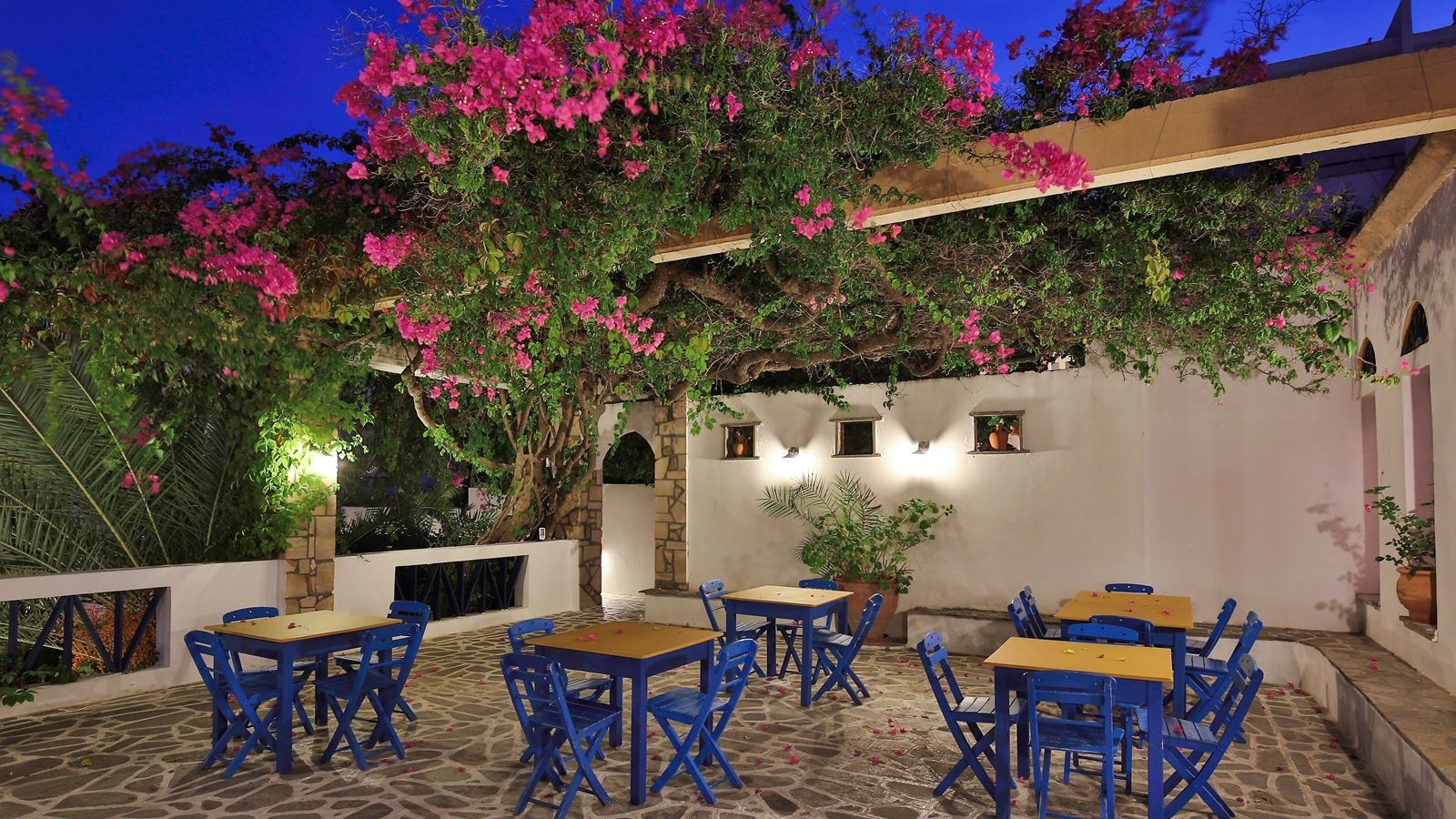 bars-ekaterini-main-bar