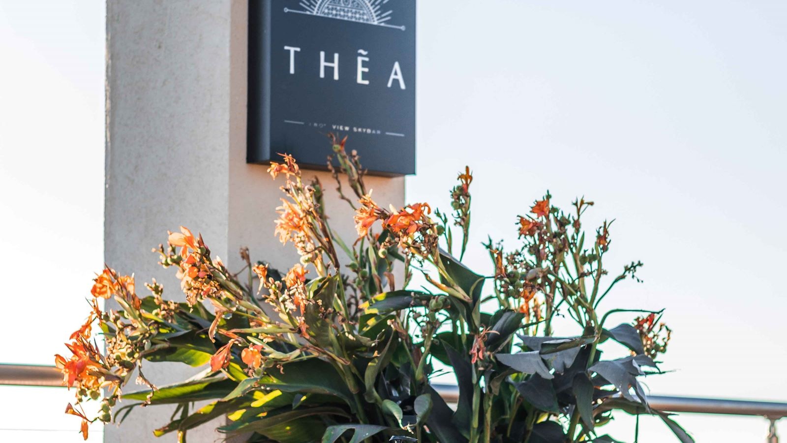 bars-roof-garden-open-bar