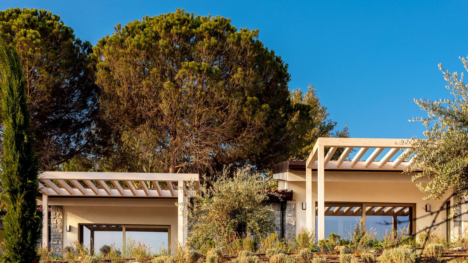 rooms-mediterranean-suite