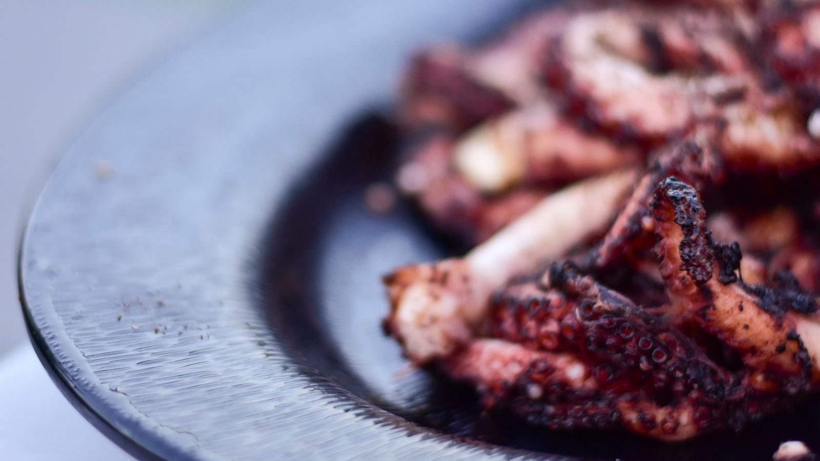 restaurants-the-bird