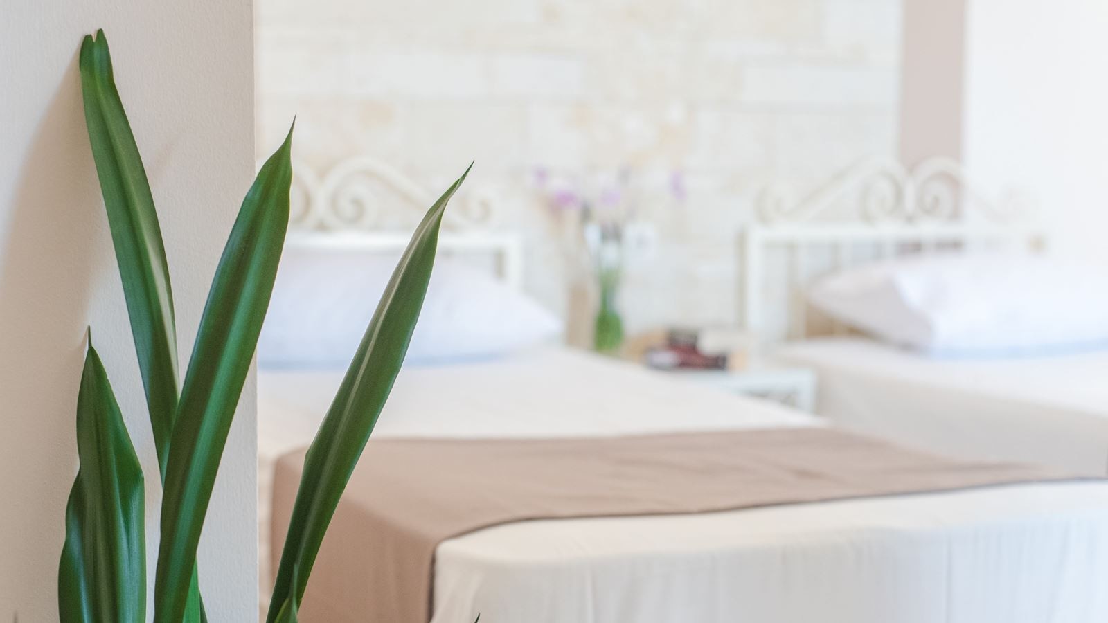 rooms-studio-triple-garden-view