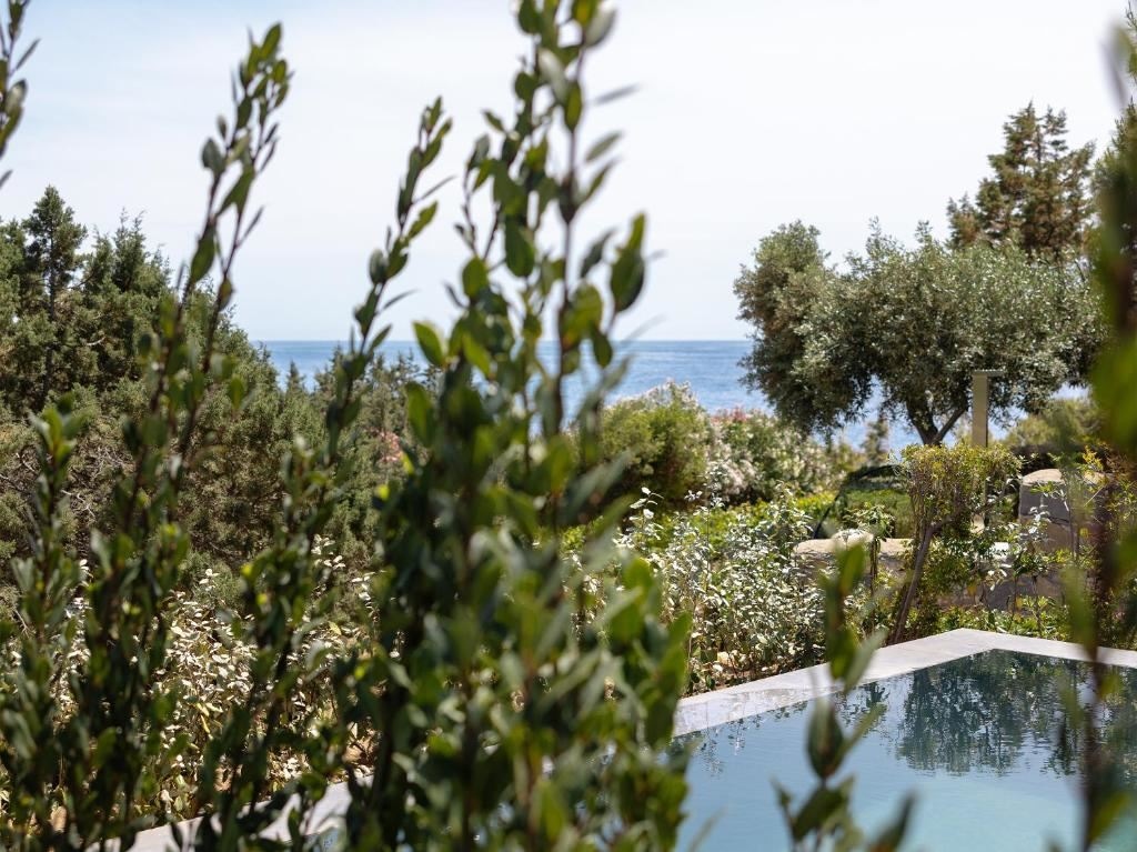rooms-dream-villa