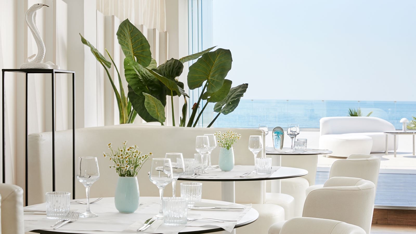 restaurants-the-white