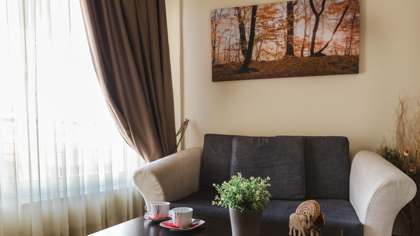 rooms-comfort-room