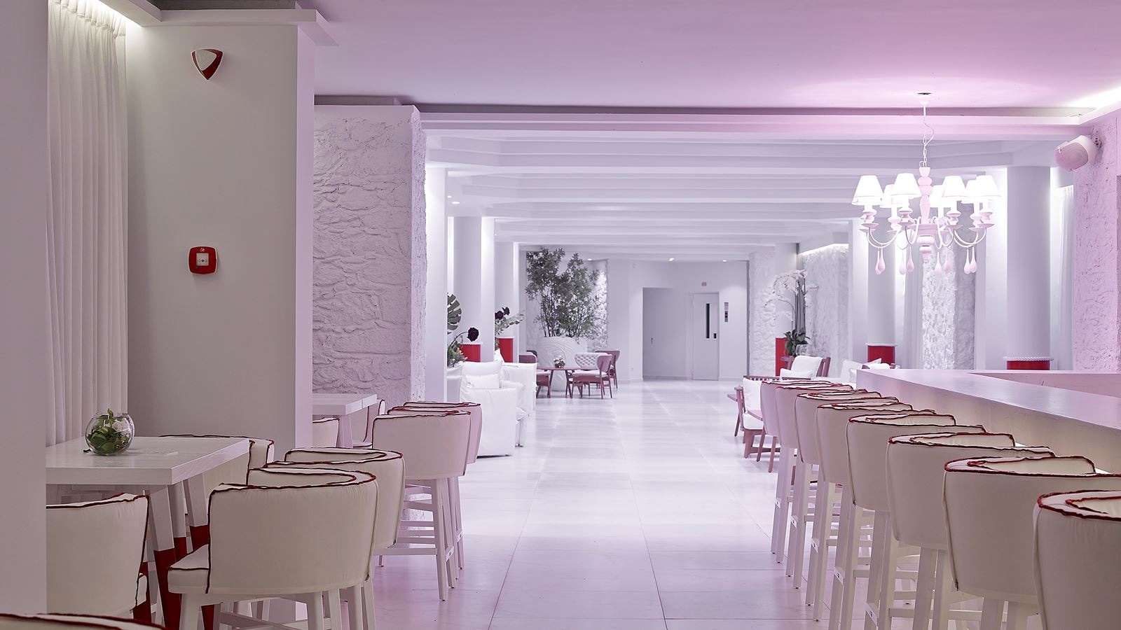 bars-veranda-main-bar