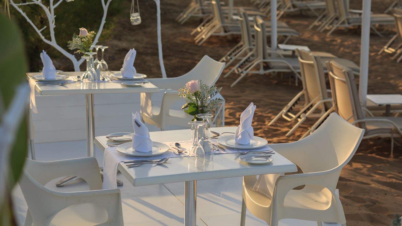 restaurants-a-la-carte-dinner-azzuro-restaurant