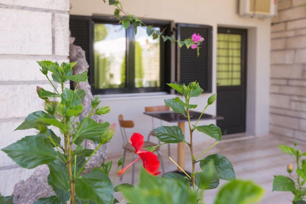 rooms-one-bedroom-apartment