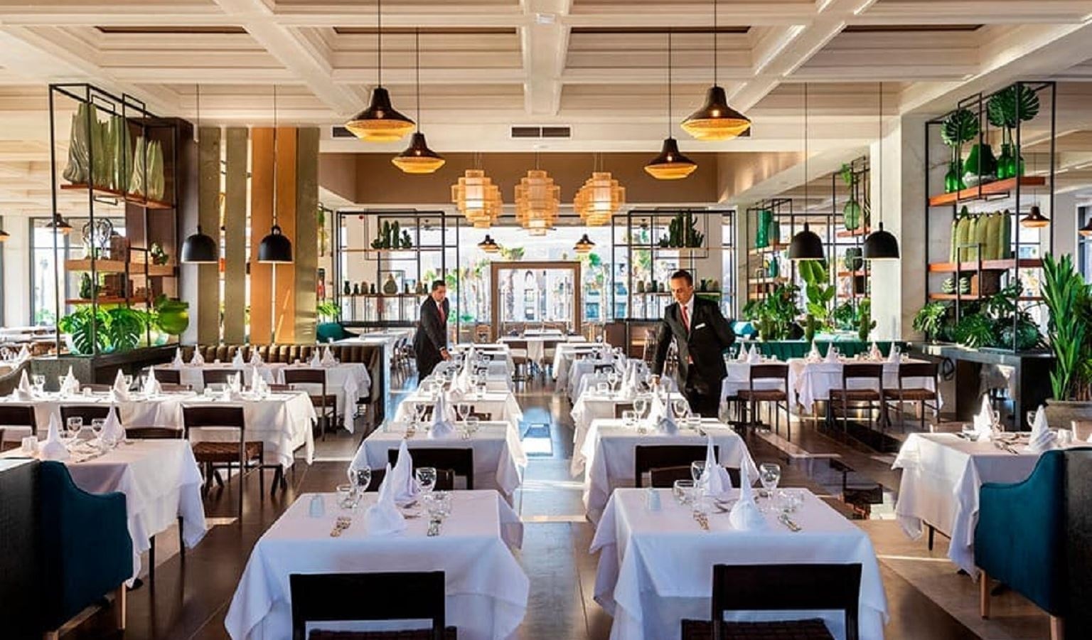 restaurants-restaurants