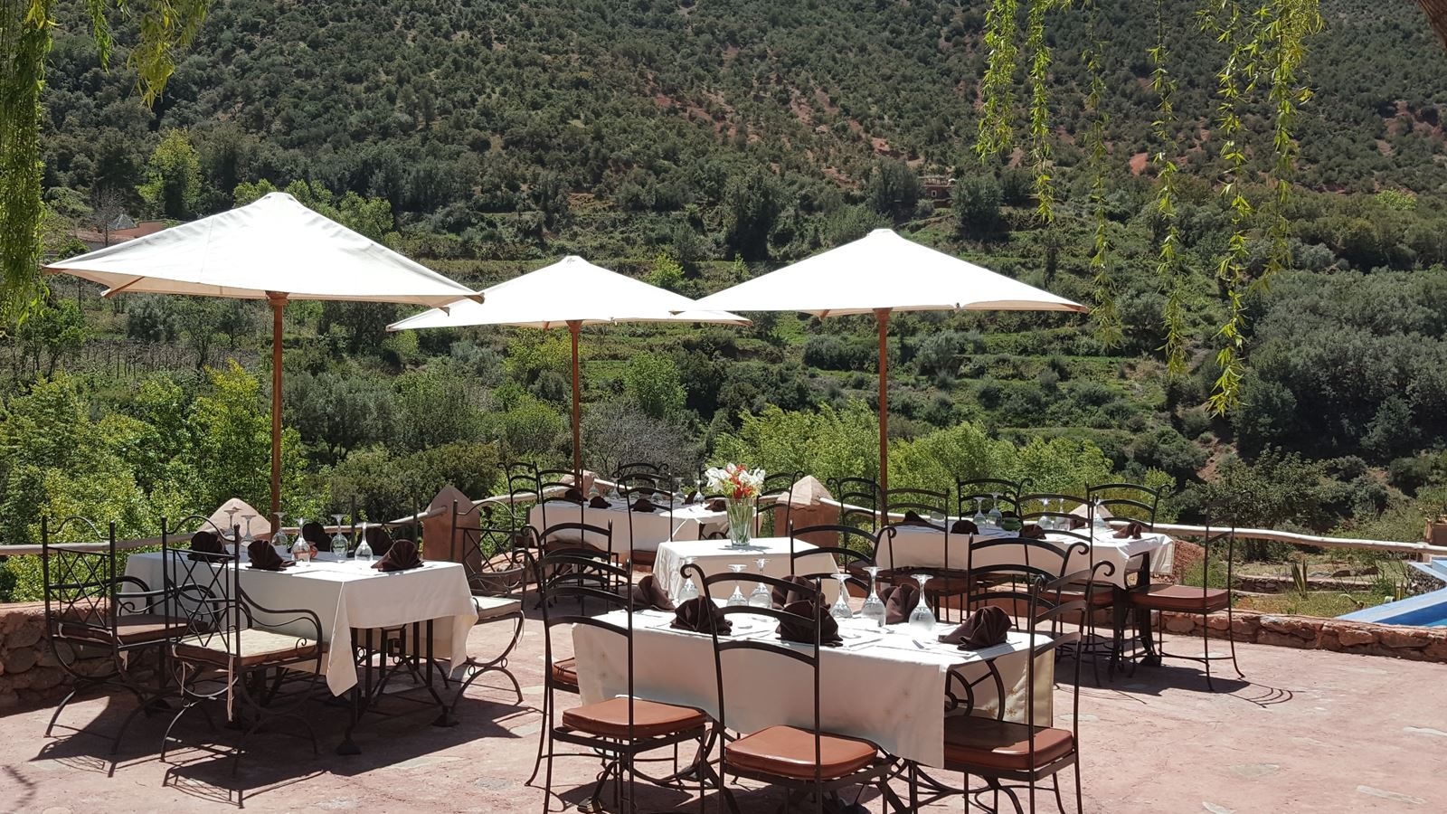 restaurants-restaurants