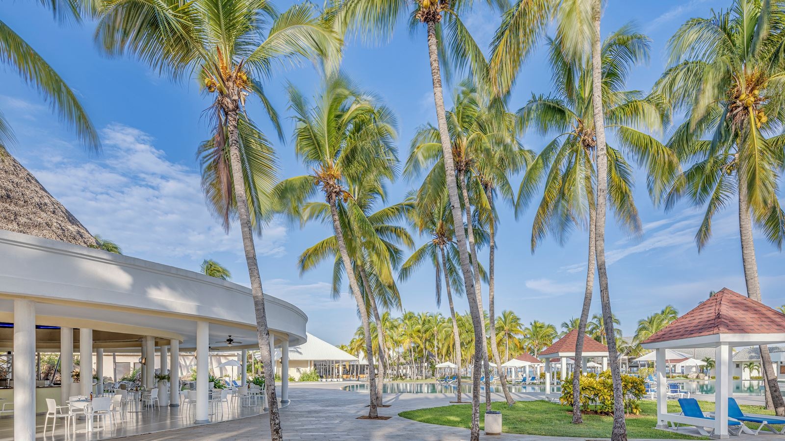 bars-snack-bar-cairi