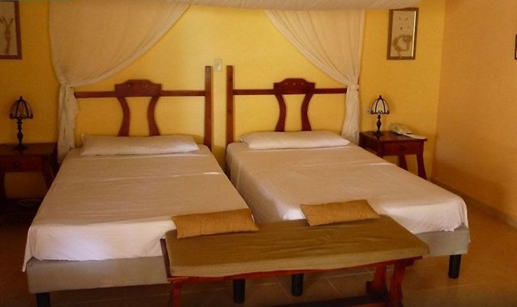 rooms-standard-tropical-room