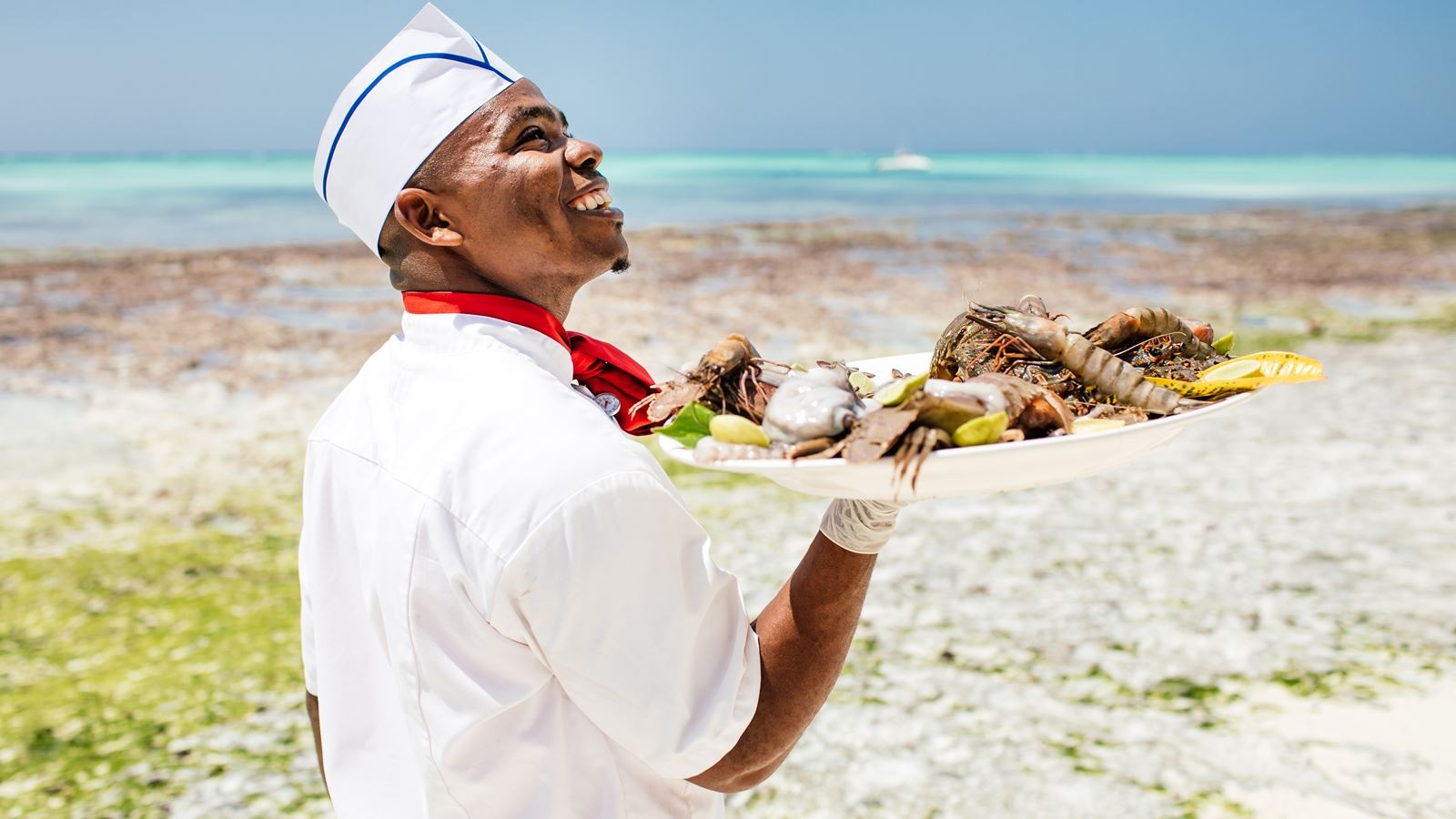 restaurants-restaurants