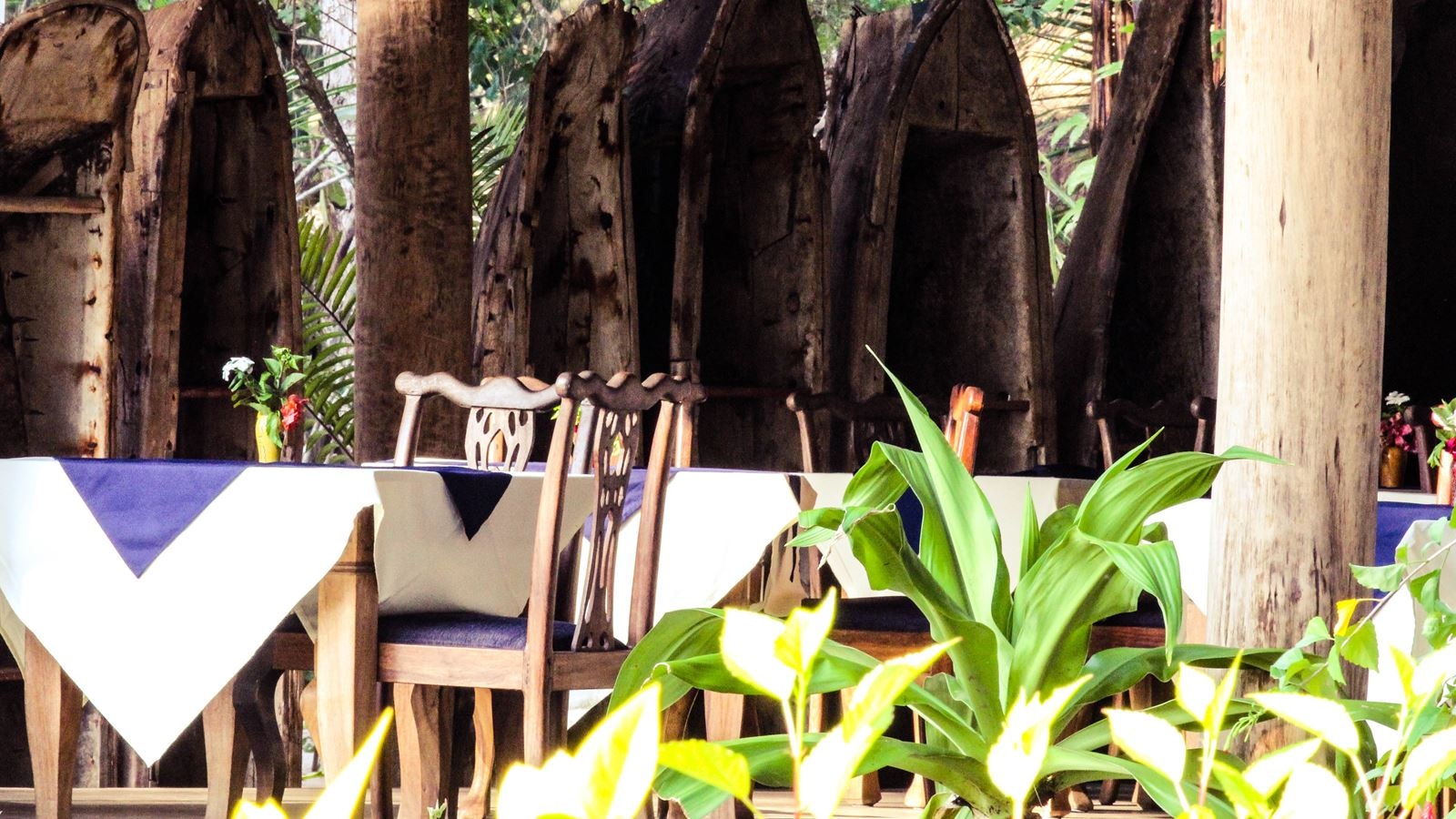 restaurants-restaurants