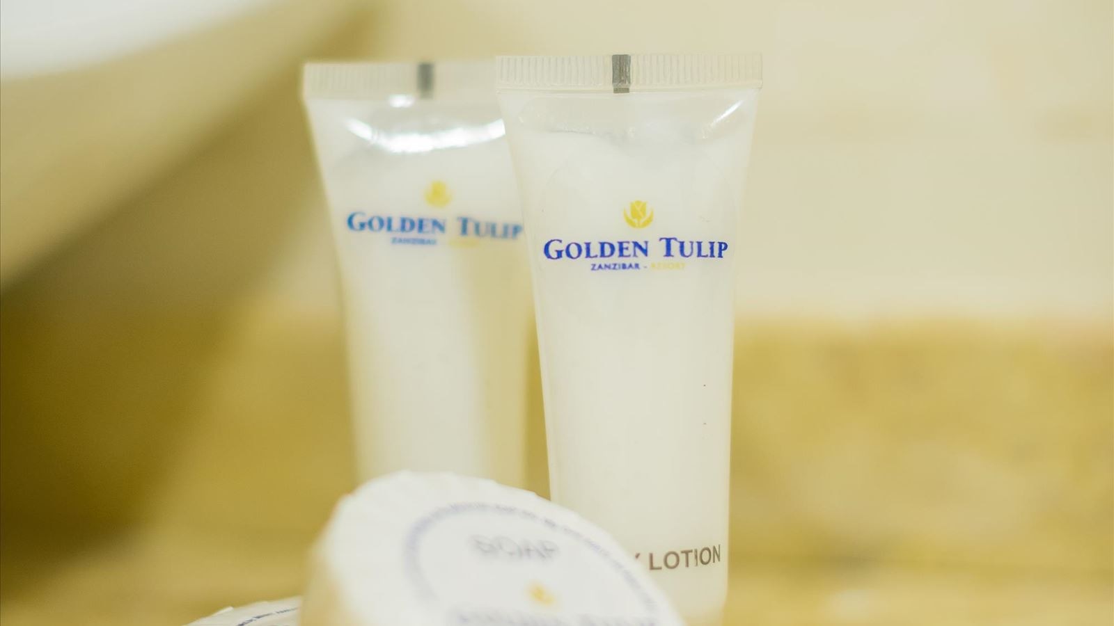 rooms-double-single-use-ocean-front-one-bedroom